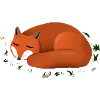 Sleeping red fox