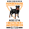 Deutscher Jagdterrier Glitzer