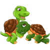Famille Turtle