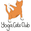 Yoga Cats Club
