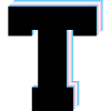 Letter T - Transgender Flag