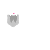 Assistant dentaire Dentiste Dentiste