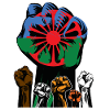 ROMA REVOLUTION