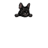 Frenchie Dad French Bulldog