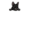Frenchie Mom French Bulldog