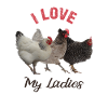 Chickens