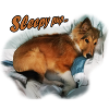 SleepyPup