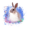 rabbit, rabbit, blue, graffiti, painting,