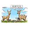 Wald im Wandel