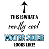 Water skiing Waterskiing Water skiers