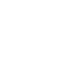 Motivational Quotes