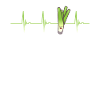 Leek Herzschalg