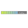 Connerie suivante téléchargement
