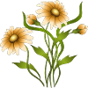 Fleur