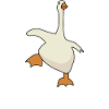 Silly goose