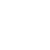 Kooikerhondje
