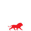 Made in Lyon