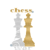Échecs, Roi