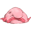 Blobfisch hässlicher Fisch