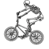 BMX Skelett