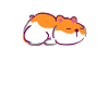 Sleeping hamster