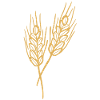 Weizen Illustration Brotbäcker Geschenkidee