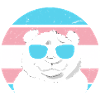 Transgender Panda