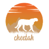 Gepard in der Natur