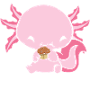 Cakexolotl Kuchen Axolotl