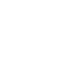 AUTOMOBILE DRIVER
