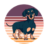 Dachshund Teckel Dackel