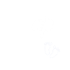 Papa 2022