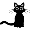 Cute black cat