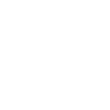 Galgo Español
