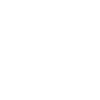 Flute Wind Instruments