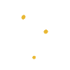 Daisy flowers spring