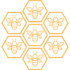 Ruche abeilles