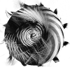 Abstract Black Hole