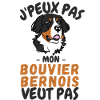 Chien bouvier bernois