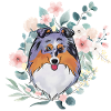 Sheltie blue merle flowers