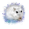 hamster, graffiti,painting,blue,turquoise,dwarf hamster