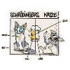 Schrödingers Katze