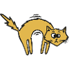 Chat cool