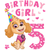 Paw Patrol 5 ans anniversaire Skye