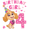 Paw Patrol 4 Year Old Birthday Skye
