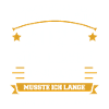 Notfallsanitäter 2022