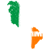 Leitrim Ireland Flag | County Outline Map