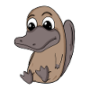 Ornithorynque
