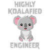 Highly Koalafied Engineer