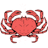 Crab Crustacean